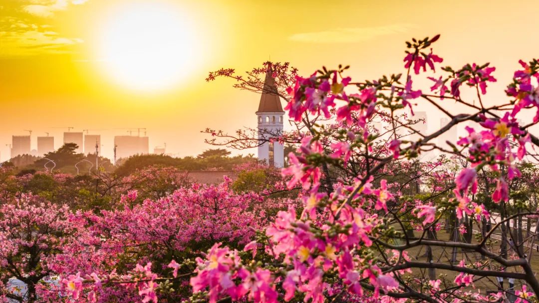 1752482654575837.jpg 3.jpg